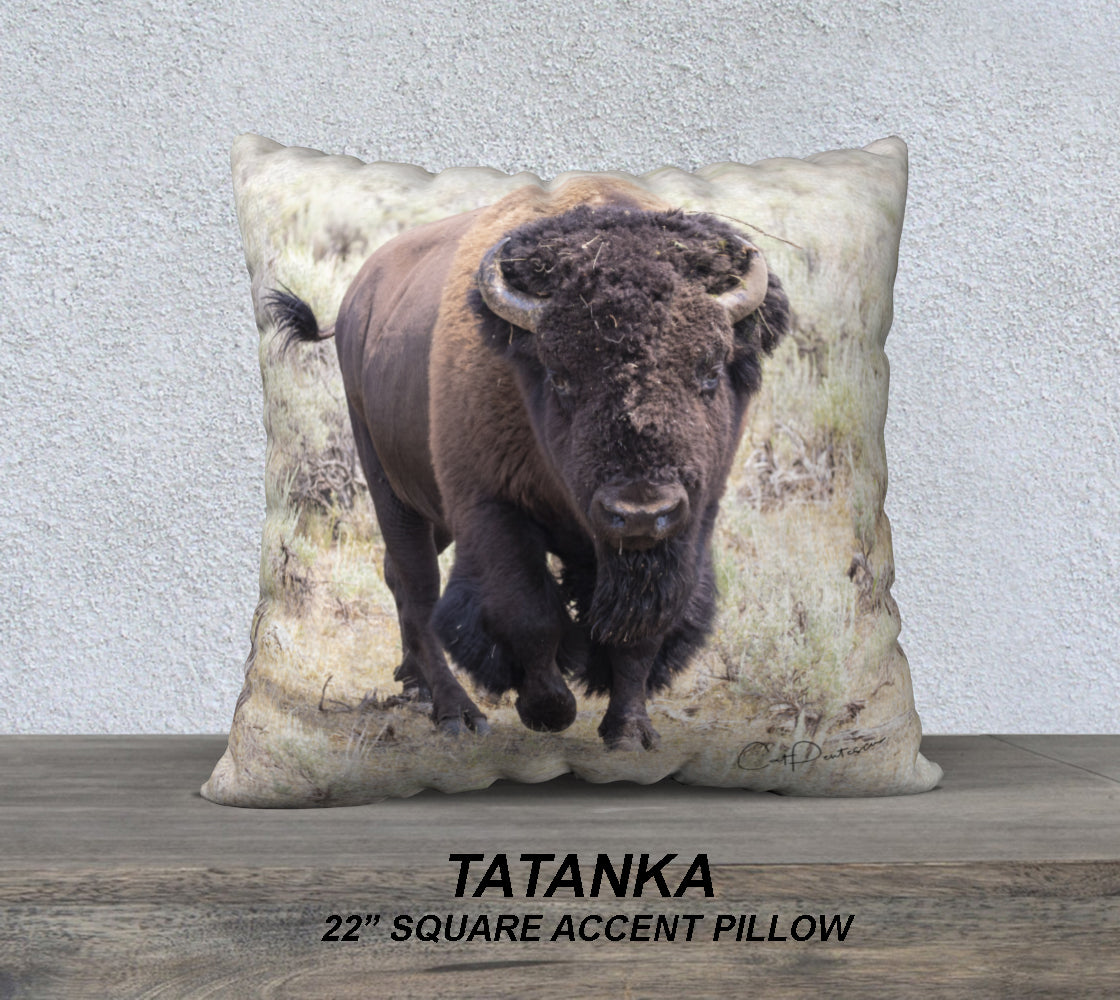 TATANKA ACCENT PILLOW COVER