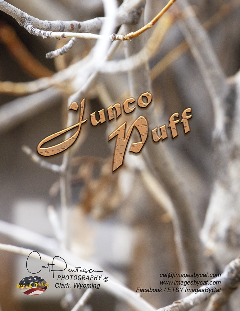 Note Cards - JUNCO PUFF - Thank You Cards