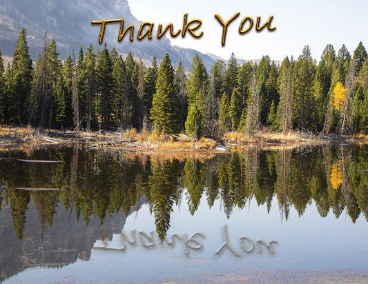 Note Cards - REFLECTING PEACE ~ Thank You Cards