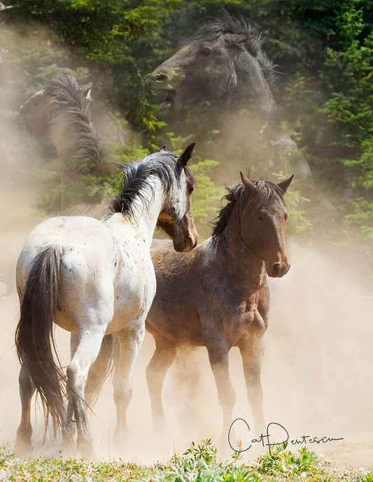 Note Cards - THE BATTLE