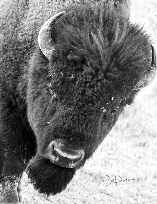 Note Cards - THE RAMBLER