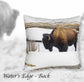 WATER'S EDGE ACCENT PILLOW COVER
