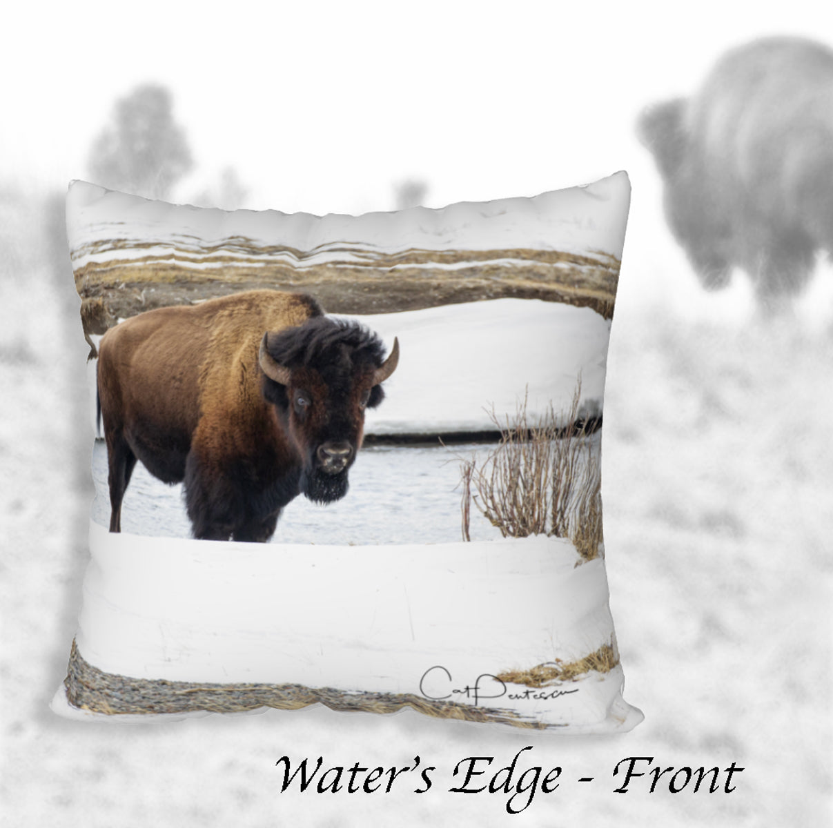 WATER'S EDGE ACCENT PILLOW COVER