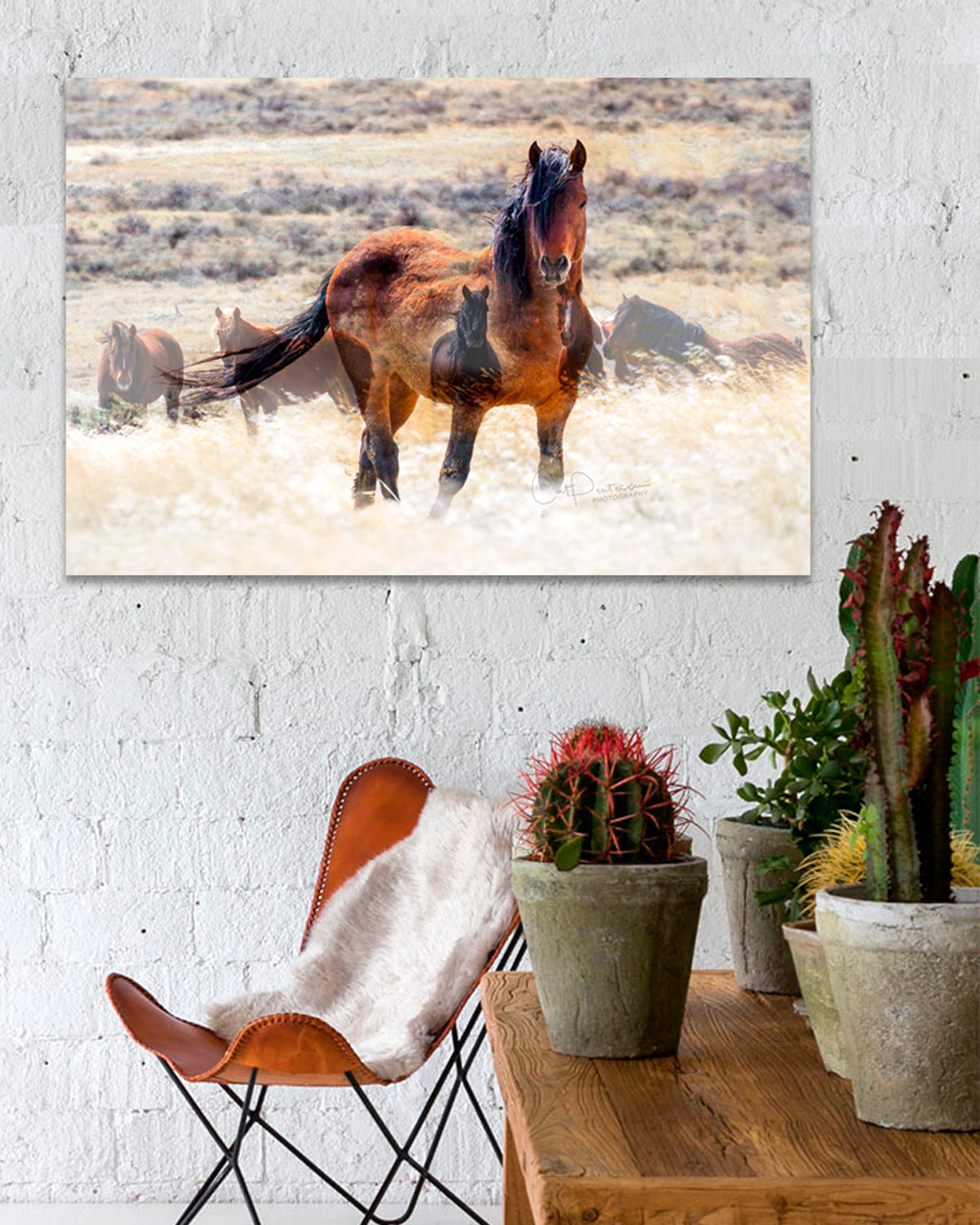 Artistic photographic montage show the spirit of generations of horses  in the wild. Available on Metal or Canvas. Cat Pentescu Photography