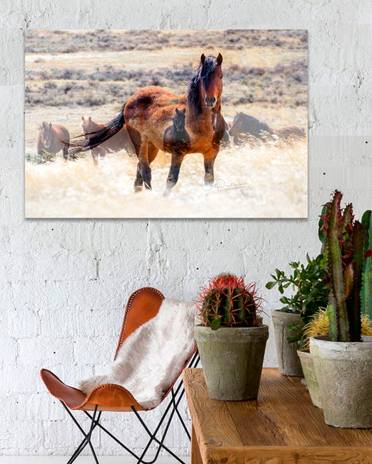 Artistic photographic montage show the spirit of generations of horses in the wild. Available on Metal or Canvas. Cat Pentescu Photography