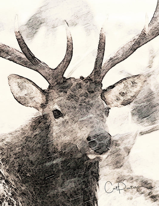 Note Cards - WILD WINTER