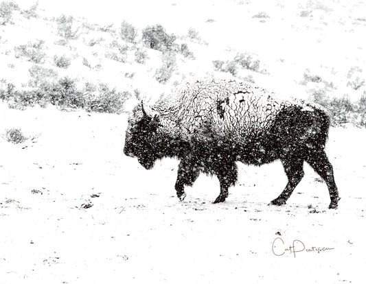 Note Cards - TIS THE SEASON