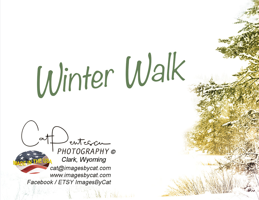 Note Cards - WINTER WALK (H)