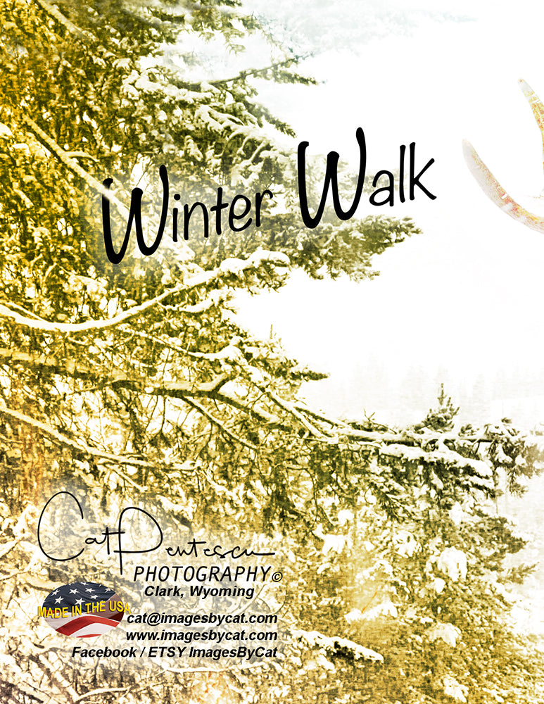 Note Cards - WINTER WALK (V)