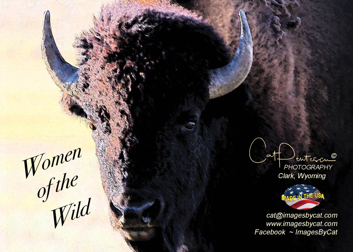 Greeting Card - WOMEN OF THE WILD
