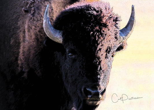 Greeting Card - WOMEN OF THE WILD