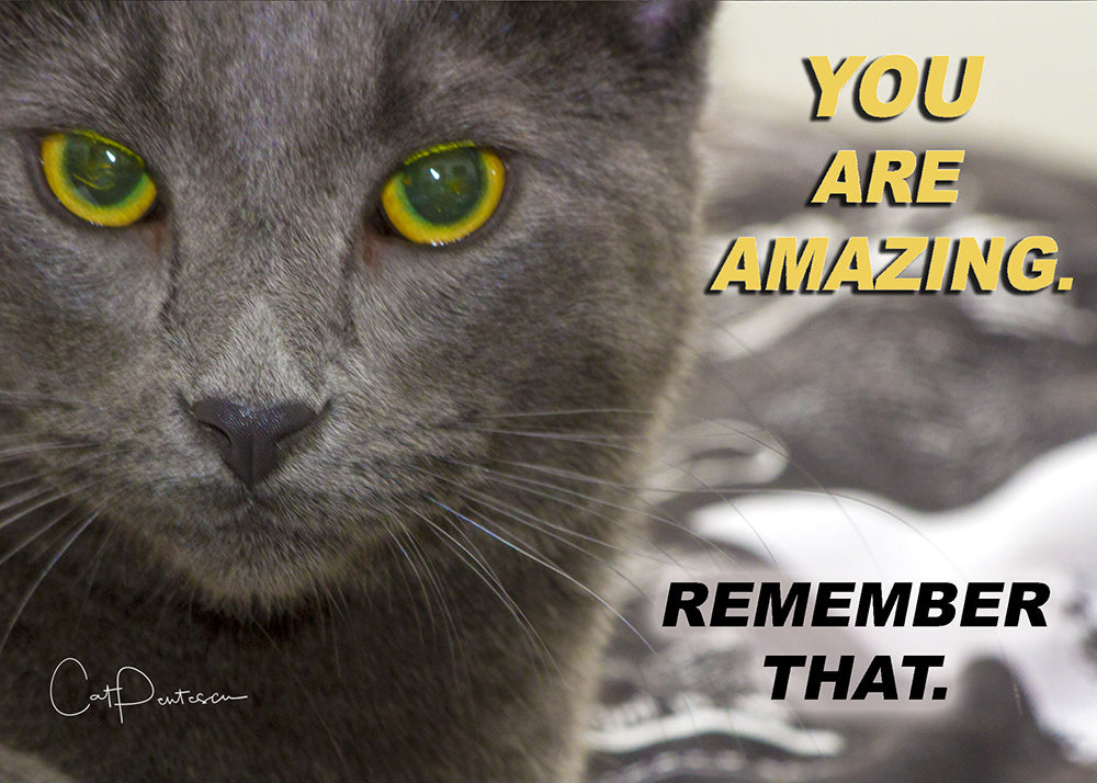 Greeting Card - YOU ARE AMAZING (CAT)