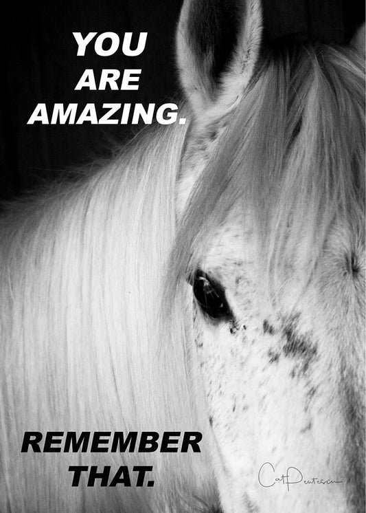 Greeting Card - YOU ARE AMAZING (HORSE)