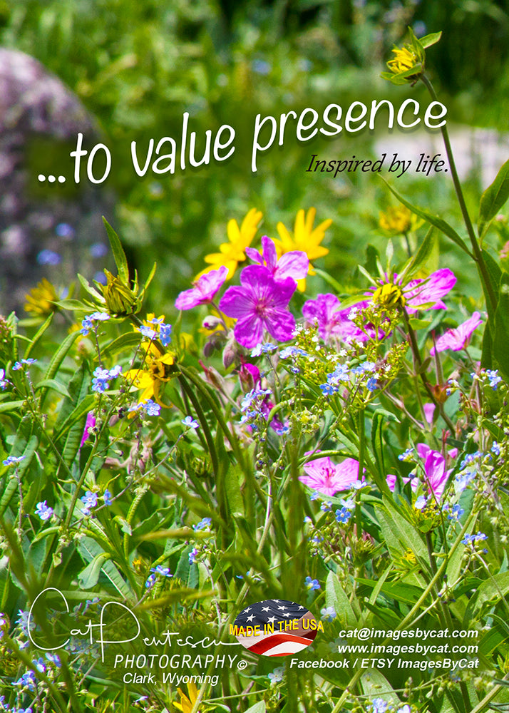 Greeting Card - TO VALUE PRESENCE